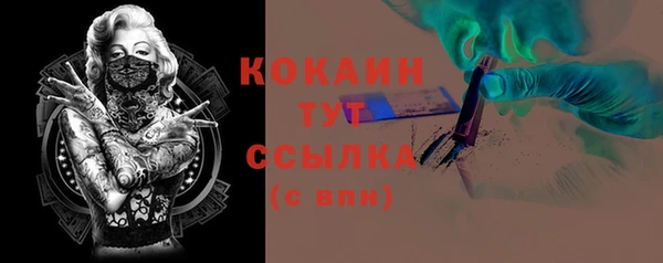хмурый Касимов