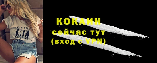 хмурый Касимов