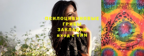 хмурый Касимов