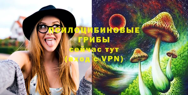 хмурый Касимов